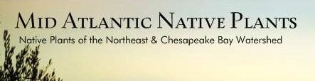 Mid Atlantic Natives Inc.